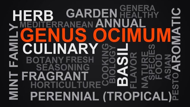 Genus Ocimum Word Cloud
