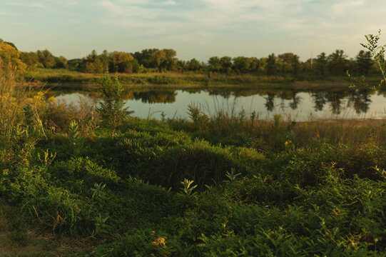 Peaceful pond at Blackwell Forest Preserve in Warrenville, Illinois