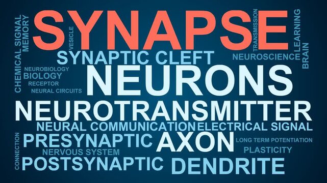 Synapse Word Cloud