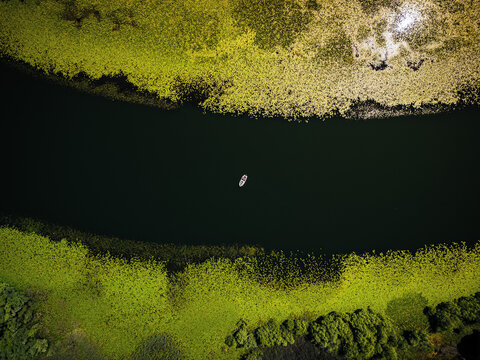 Aerial view of a small boat on the dark waters of Rijeka Crnojevica, surrounded by vibrant green water lilies at Pavlova Strana, Sindjon, Prijestonica Cetinje, Montenegro.