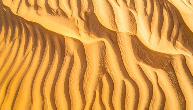 砂漠の砂丘のテクスチャ背景 立体的な砂の陰影と風紋