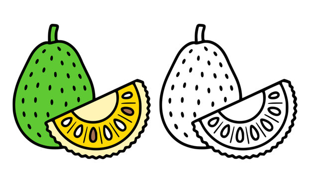 Minimalist jackfruit icon, line art and colored illustration, for coloring page
