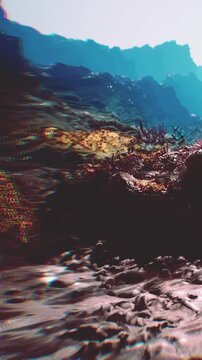 Bright light filters through water, revealing a colorful coral reef and rocky ocean floor. The scene appears lively with aquatic plants in their natural setting.