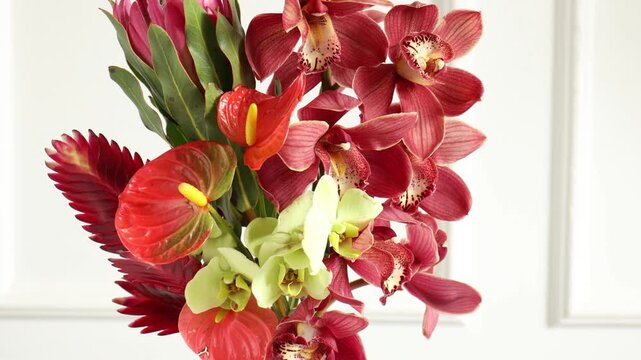 Bouquet of beautiful tropical flowers in vase near white wall, closeup. Camera zooming in