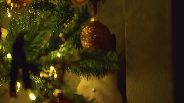 Close Up of a Curious Siamese Cat Peeking From Under a Christmas Tree With Warm Glowing Lights and Holiday Decorations, Cozy Winter Home and Festive Cheer