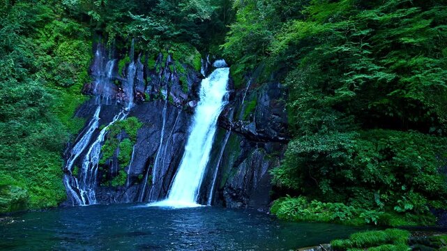 神秘の巨滝、深呼吸したくなる、マイナスイオン溢れる大分の秘境・白水の滝
（大分県竹田市荻町）
A mysterious giant waterfall that makes you want to take a deep breath, Shiramizu Falls, an unexplored area of Oita full of negative ions