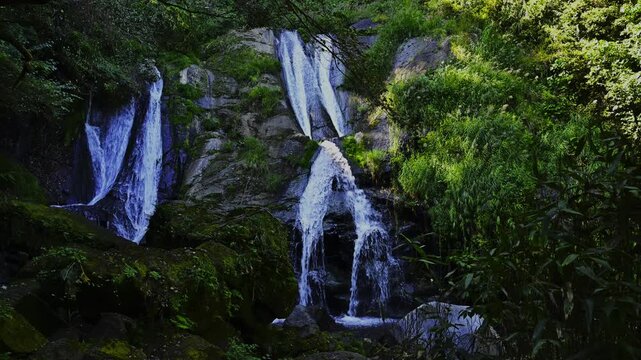 豊かな緑と純白の水流が織りなすアート。
（大分県竹田市荻町）
A work of art woven from lush greenery and a stream of pure white water.
(Ogi-machi, Taketa City, Oita Prefecture)