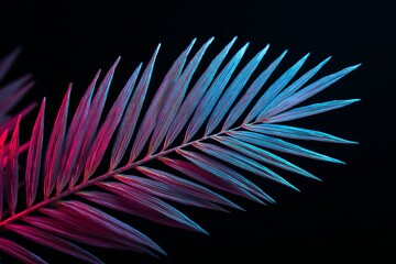 Fototapeta premium Palm leaf illuminated with vibrant neon lights against a dark background.