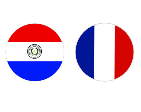 round shape of paraguay flag and french flag with transparent background