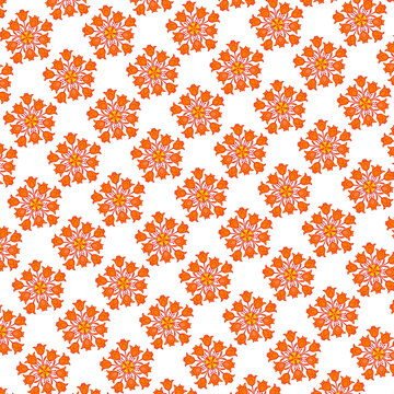 Peacock Flower/Flamboyant Floer