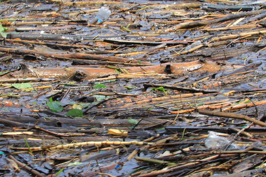 Collection of debris floating the the water surface