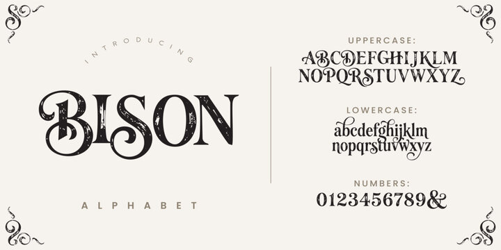 Bison decorative display font with vintage sketch style perfect for rustic and classic designs