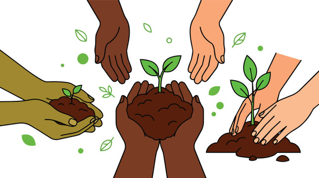 Multiracial hands nurturing green seedlings in soil as a clean flat design vector for corporate social responsibility