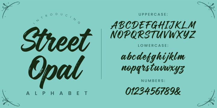 Street Opal script font handwritten brush style for feminine luxury branding and logo
