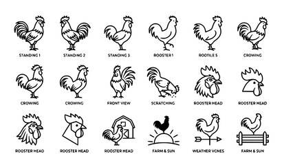 Fototapeta premium Rooster outline icons vector minimalist poultry pack