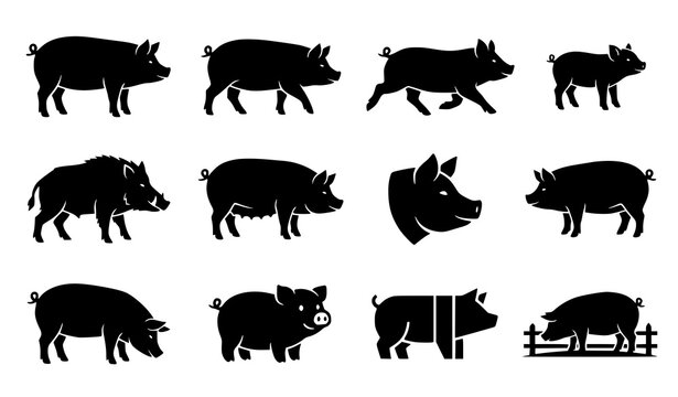 Pig silhouette icon set featuring farm hog piglet boar and black vector collection