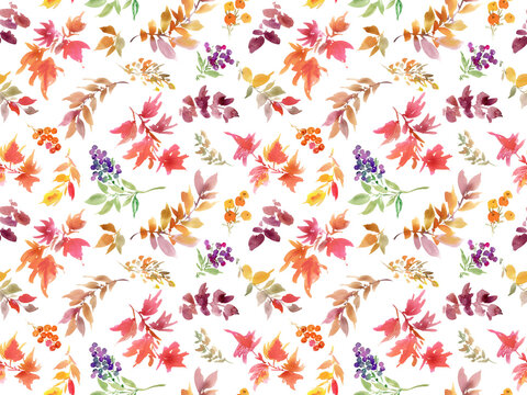 Watercolor colorful autumn leaves and berries seamless pattern on a transparent background for fabric, gift wrapping and stationary.