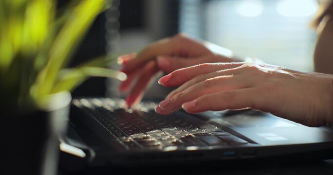 Hands type on laptop keyboard. Sunlight glows softly behind fingers. Focused work in calm, modern setting. Perfect for business, education, or tech themes. Natural plant adds touch of green