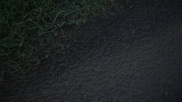 rain on the road