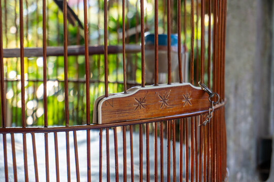 Wooden Bird Cage Latch With Star Pattern Carvings