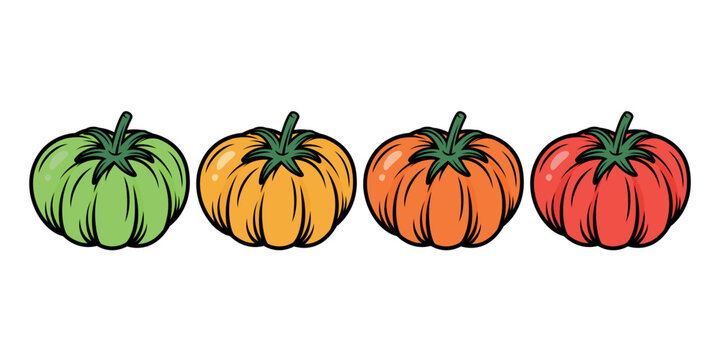 Cartoon Tomato Set, Vector Illustration. Green Yellow Orange and Red Tomato Collection Isolated. Fresh Vegetable Ripeness Stages, Food Design, Farm Produce Clipart