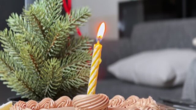 a single lit striped candle burning on a frosted chocolate birthday cake. A small potted pine tree and a blurred grey living room sofa complete this warm indoor daytime celebration scene.