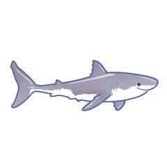 Fototapeta premium Slender shark cartoon character side view illustration