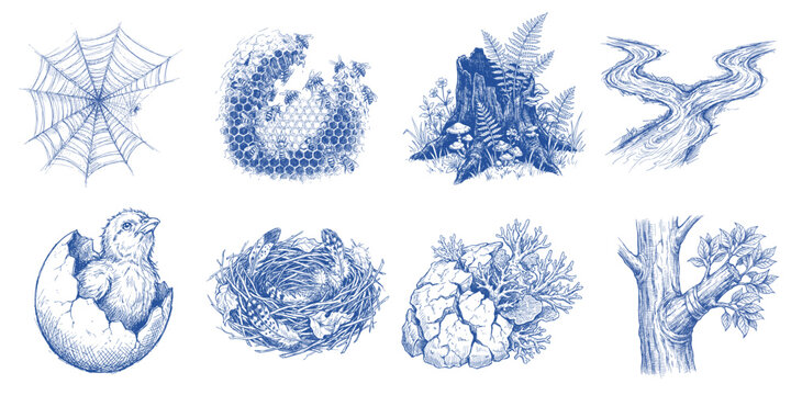 Nature Recovery Graphic Elements Collection with Restored Nest Coral Reef Forest Regrowth and Ecological Restoration