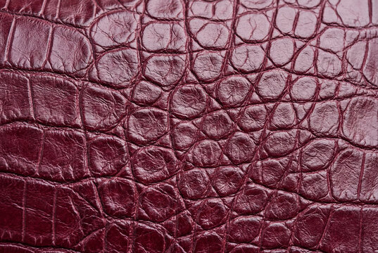 Dark burgundy crocodile leather texture with scale pattern