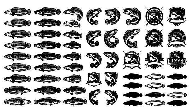 Premium Snakehead Fish Channa Black White Vector Library for Fishing Logo Sticker and Shirt Design