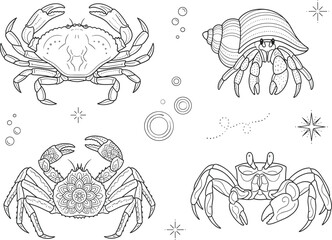 Obraz premium Marine crab and hermit shell icon set with detailed ocean wildlife vector elements