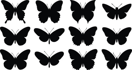 Butterfly Silhouette Vector Set with Flying Butterfly Species Collection Isolated on White Background © AlRafin