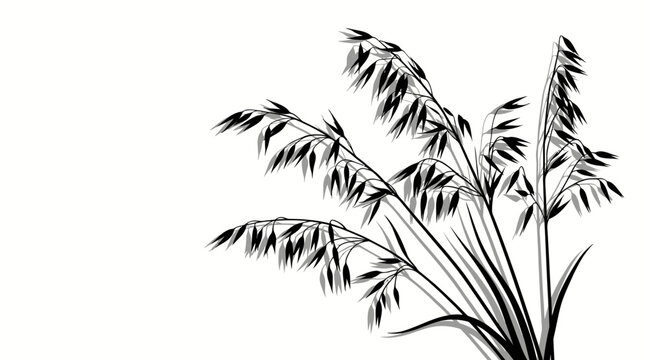 Minimalist black silhouette of oat stalks isolated on white background for health food branding. Vector Illustration