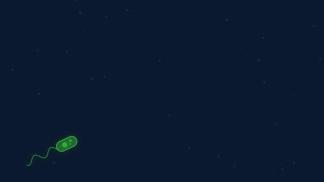 Microscopic Animation of a Green Flagellated Bacterium Swimming Across a Dark Blue Background