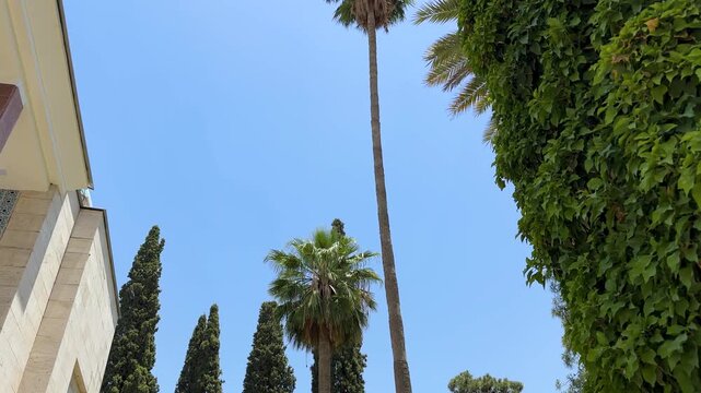 Shiraz mansion and cedar cypress tree in Iran natural landscape rustic bushes lush green garden scenic outdoor traditional architecture heritage and flora foliage of serene peaceful woodland botanical