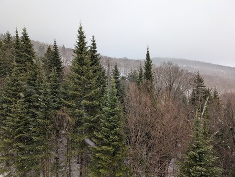 The mountain slopes are covered in snow&mdash;a white road, snow-laden fir trees; a beautiful winter in the mountains. Canada, Ontario.