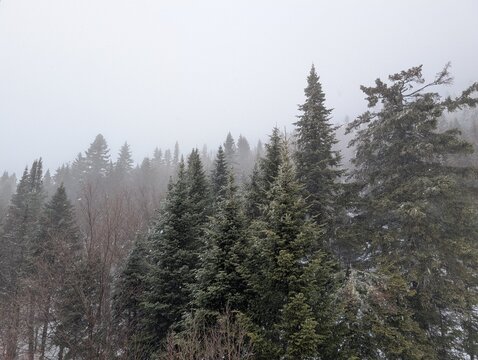The mountain slopes are covered in snow&mdash;a white road, snow-laden fir trees; a beautiful winter in the mountains. Canada, Ontario.