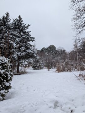 Snowy winter landscape with a footpath in the middle of the forest 