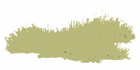 diagonal grass arrangement with flowing motion on white background natural landscape outdoor plant vegetation greenery botanical © Dibyendu
