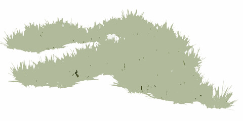 natural scattered grass clusters with varying density on white background vegetation botanical plant flora green transparent © Ripan