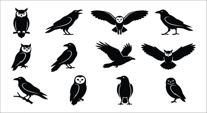 Black Silhouette Collection Of Owls And Ravens Vector Illustration
