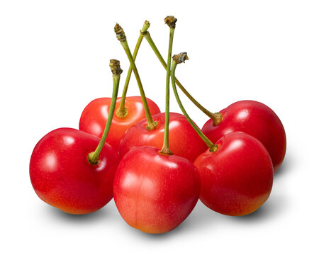 日本のサクランボ / Japanese cherries