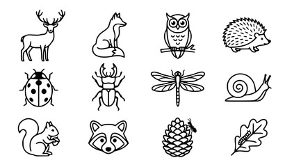 Woodland animals and forest insects vector icon set with simple bold line art classic complete deer fox owl ladybug dragonfly snail and nature wildlife clip art black and white © GULSHAN