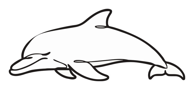 Sleeping bottlenose dolphin minimalist line art vect.... Generative AI