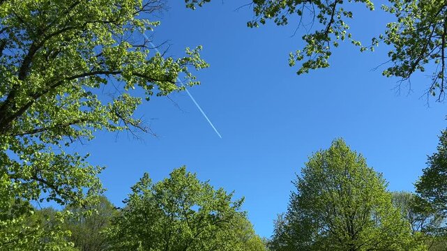 Aircraft flying over Amsterdam Forest park near Schiphol Airport, Netherlands Aircraft flying over Amsterdam Forest
