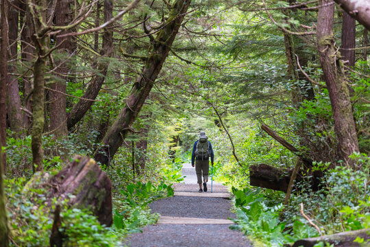Hike on Vancouver forest