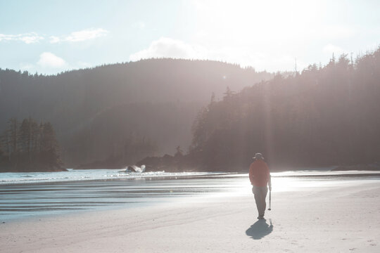 Hike on Vancouver island