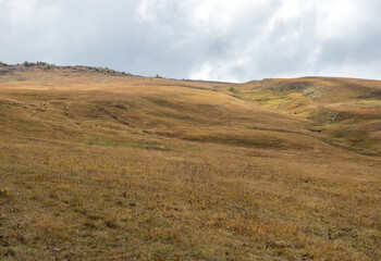Fototapeta premium a stone plateau in an alpine area during the autumn season, with dried plants and signs of late autumn