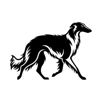 Black and white vector silhouette of a walking borzoi dog