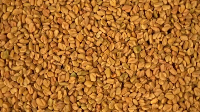 Full frame macro texture of rotating raw organic fenugreek seeds creating an abstract pattern